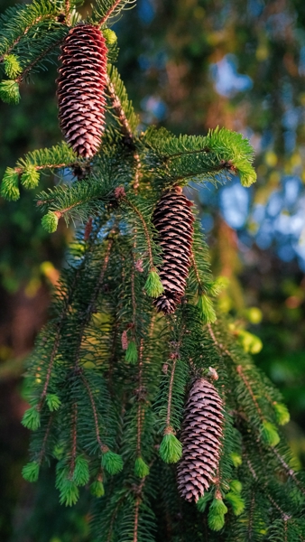 Scenes from Cleveland